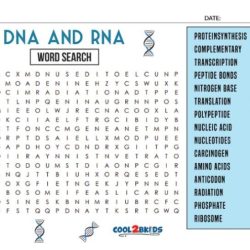 Dna word search c 6 answers