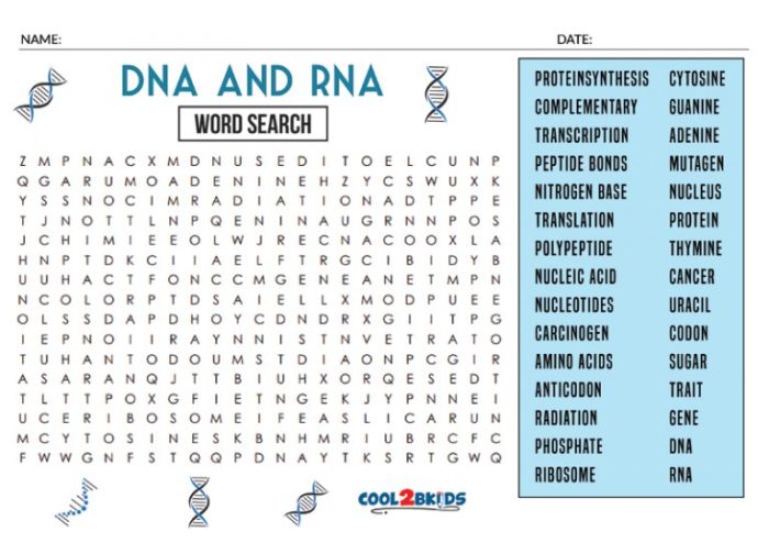 Dna word search c 6 answers