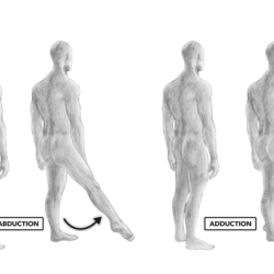 Adduct the thigh as when standing at attention