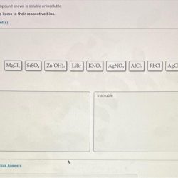 Soluble determine compound shown each if insoluble appropriate bins respective drag items solved their part transcribed problem text been show