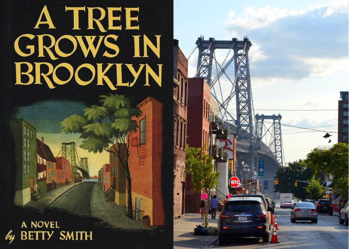 Discussion questions for a tree grows in brooklyn